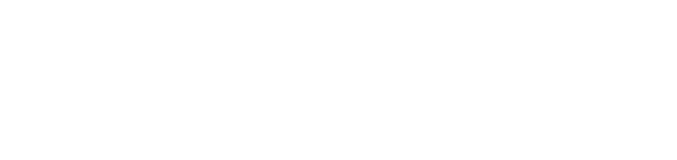 Dra. Alessandra Stanquini